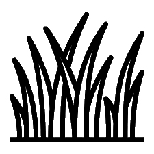 Shreepad